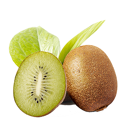 开云体育官方入口产品中心六